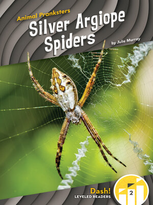 cover image of Silver Argiope Spiders
